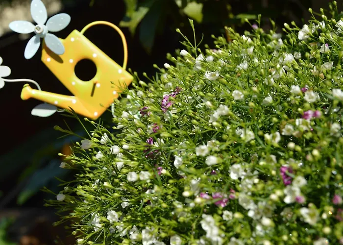 Albergo a parte: Residence Albierch